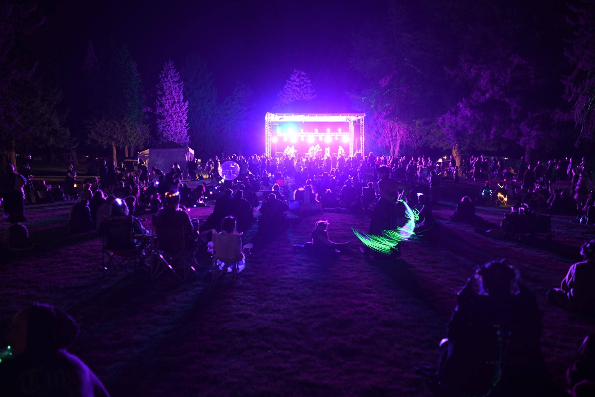 Festival Crowd at Night